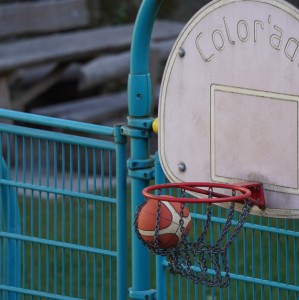 辽篮两大难题：张镇麟将进行腰胯手术无缘亚洲杯 全力续约赵继伟