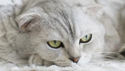 PG电子平台网站：开启你的娱乐新世界