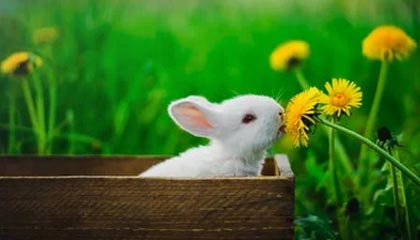 博鱼电竞：用热爱点燃电竞新纪元